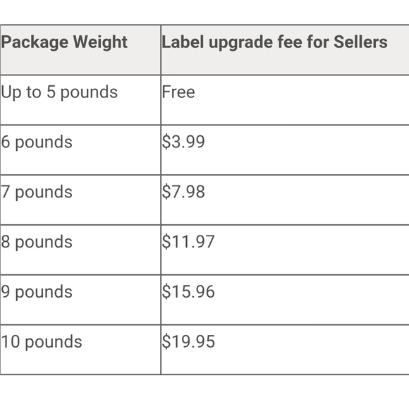 Small Terracotta Potted Moss Succulents - Picture 5 of 5